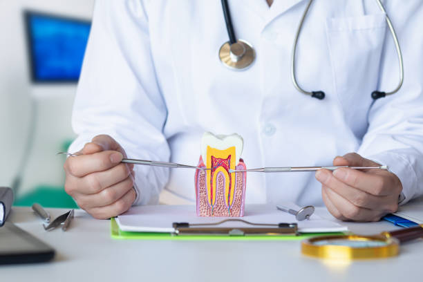 Best Emergency Tooth Extraction in East Dennis, MA